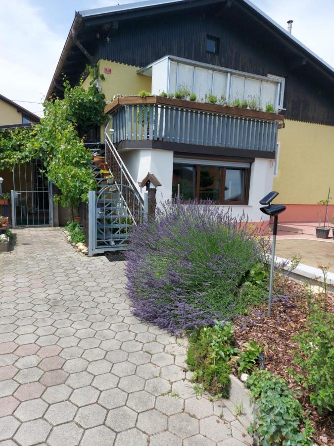 Apartma Reich Apartment Ptuj Exterior photo